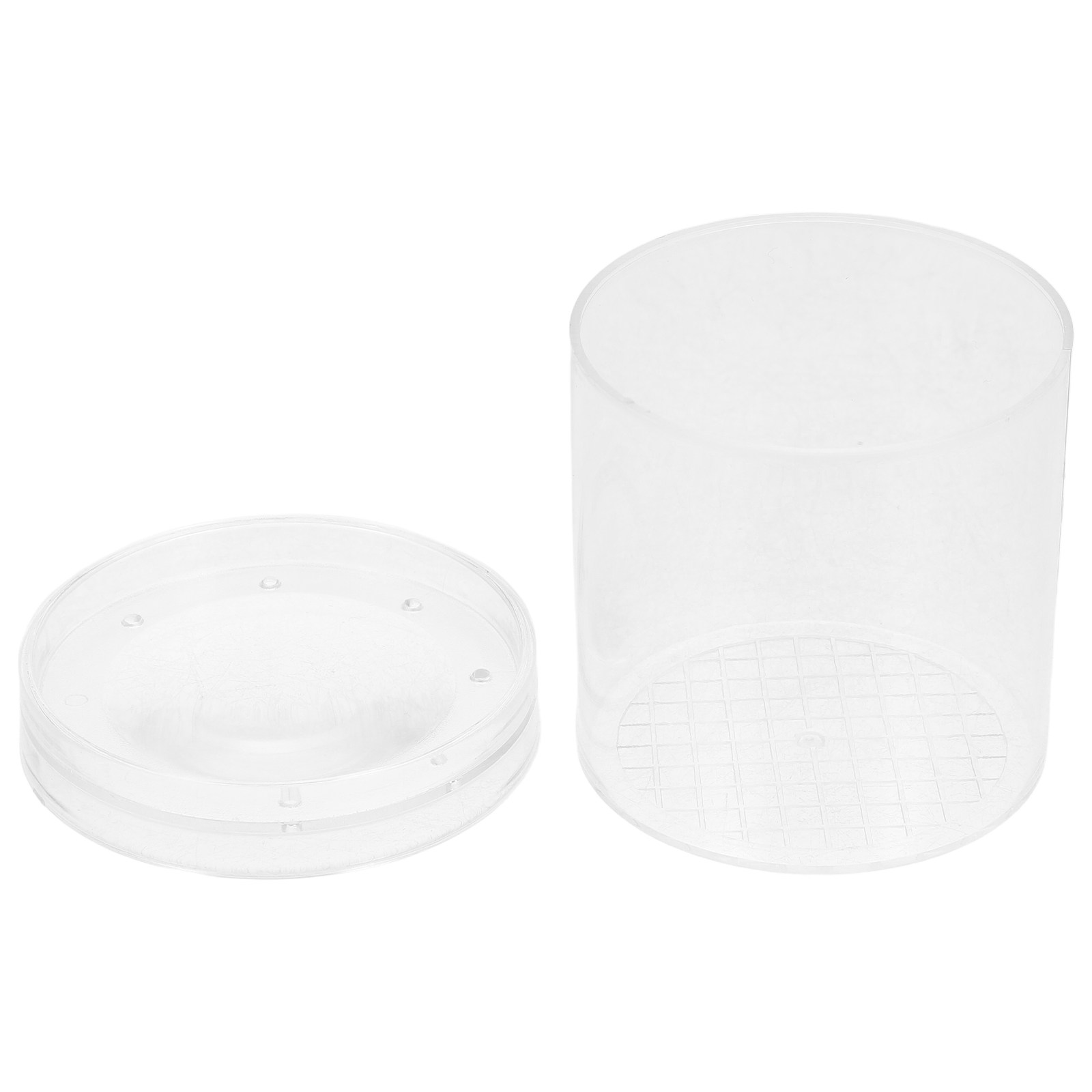 Science Toys - Insect Observation Box 3X Magnifying Lens