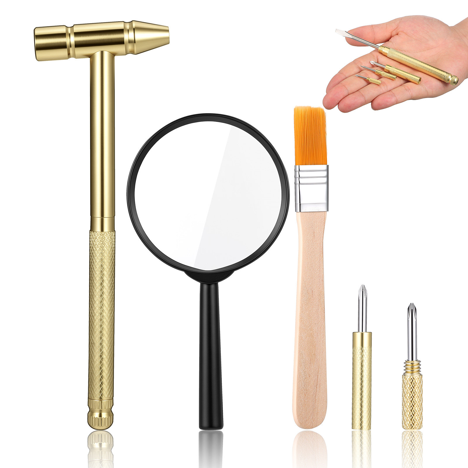 1Set Children Excavation Tool  - đánh giá và giá Science Toys