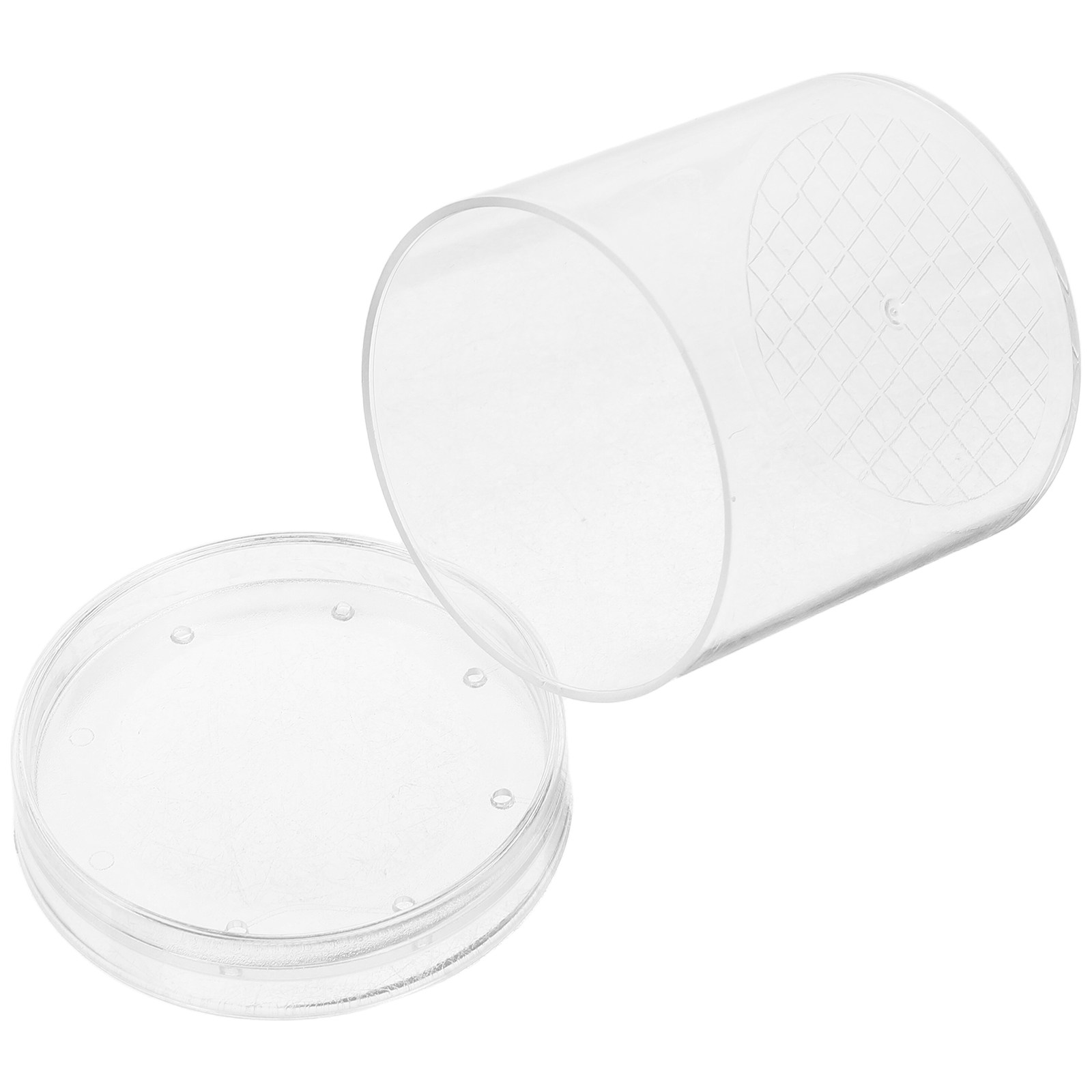 Insect Observation Box 3X Magn - đánh giá và giá Science Toys
