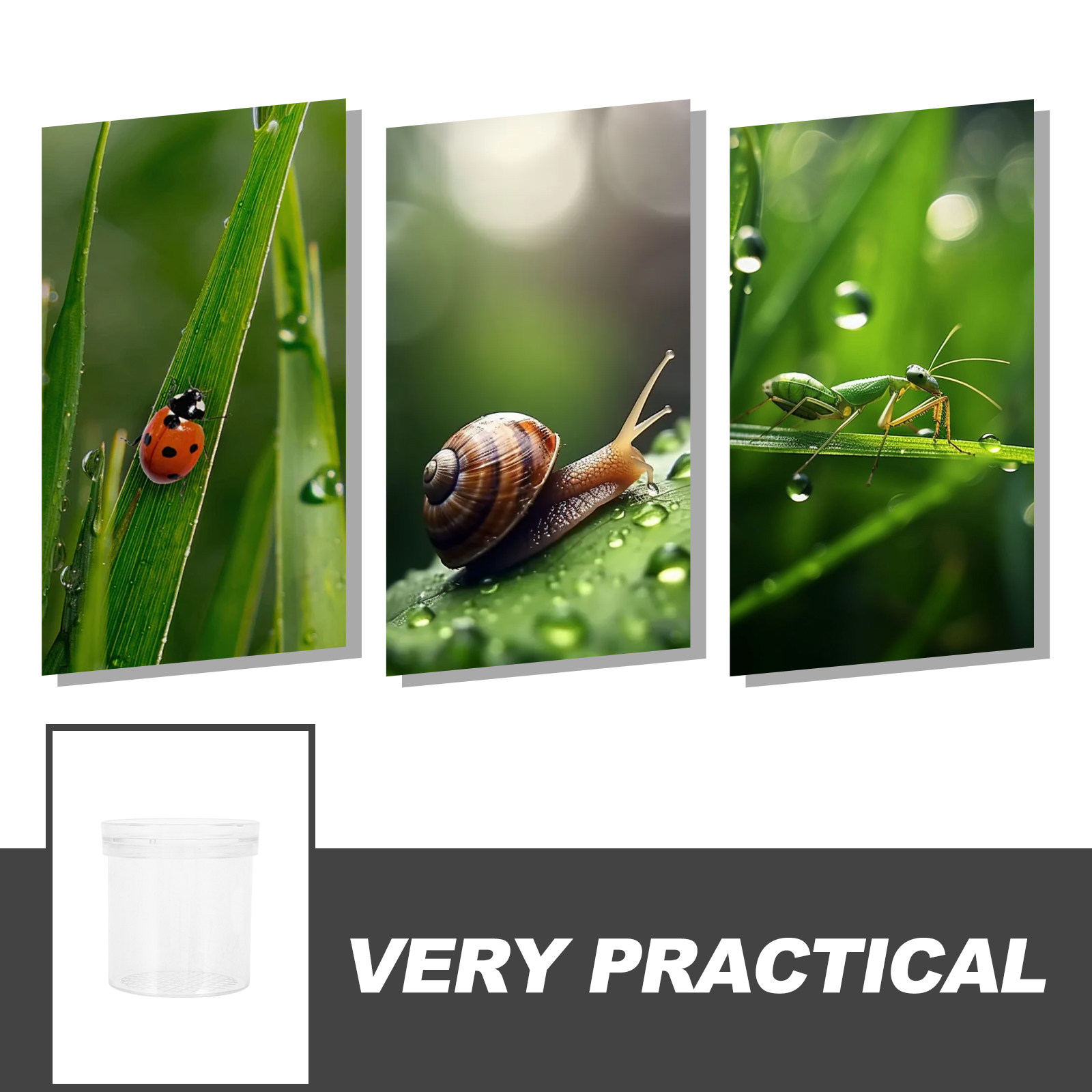 Insect Observation Box 3X Magn - đánh giá và giá Science Toys