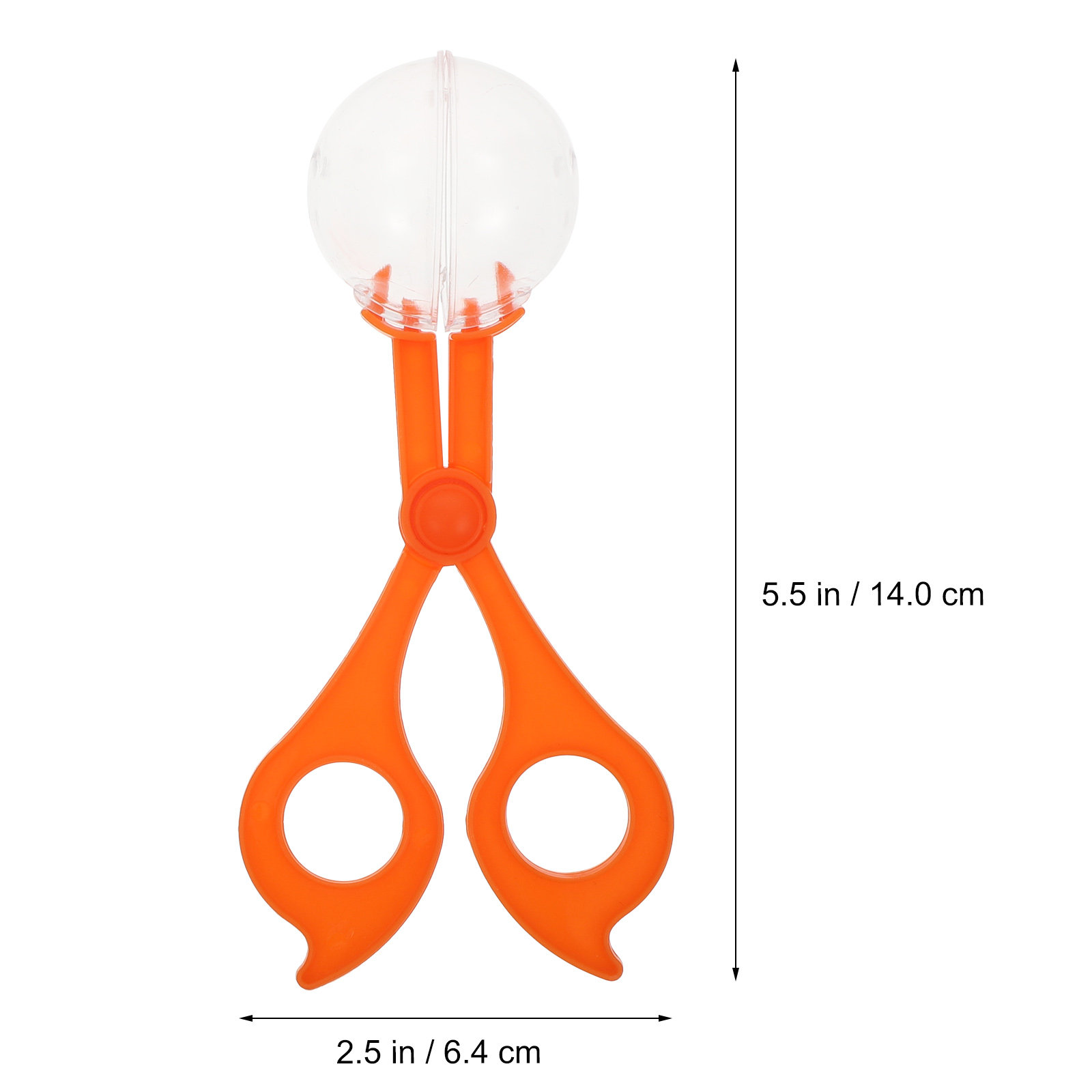 2Sets Insect Catching Tool for - đánh giá và giá Science Toys